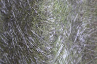 Bekesbourne Hill fibreglass roof work